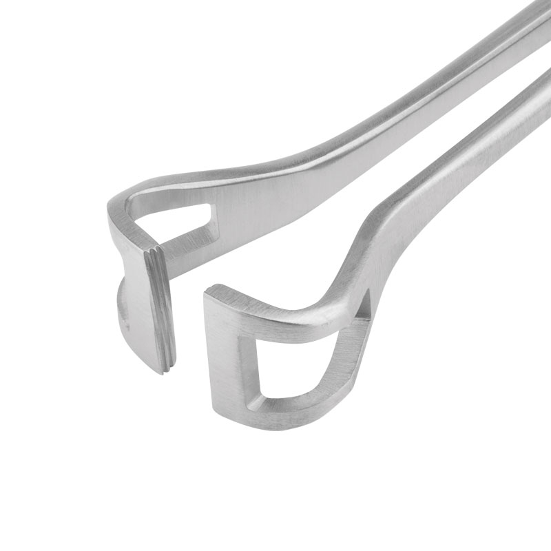 Tissue Forceps Babcock (Length: 200mm)