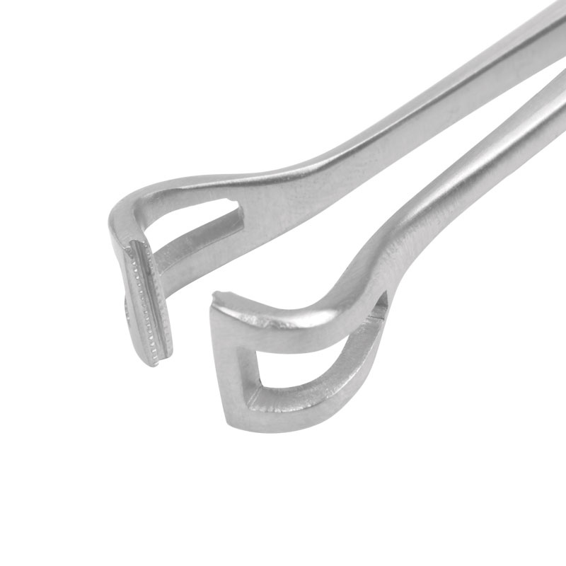 Tissue Forceps Babcock - Atraumatic Serrated Tips (Length: 160mm)