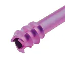 Image (1).webp