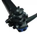 306271 Detail.webp