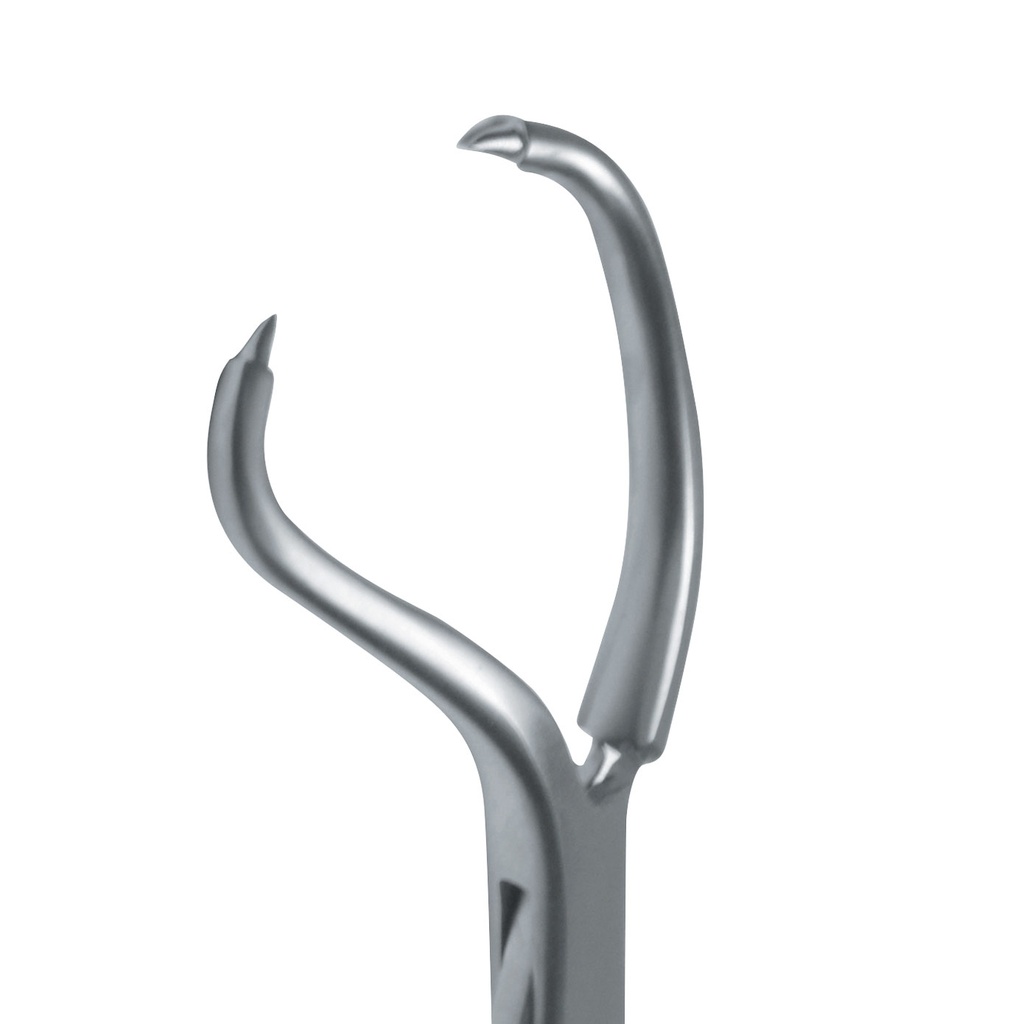 Bone Reduction Forceps Pointed (Length: 90mm)