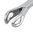 Bone Holding Forceps Angus