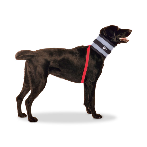 BiteNot Collar (Size 4)