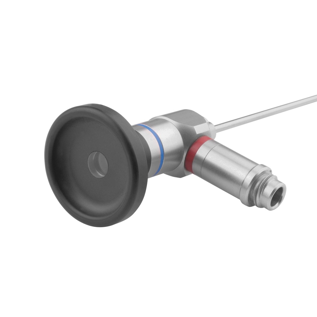 30° Rigid Endoscope (Length: 73mm) 