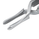 DIEFFENBACH Aretery Bulldog Clamp Forceps (Curved)