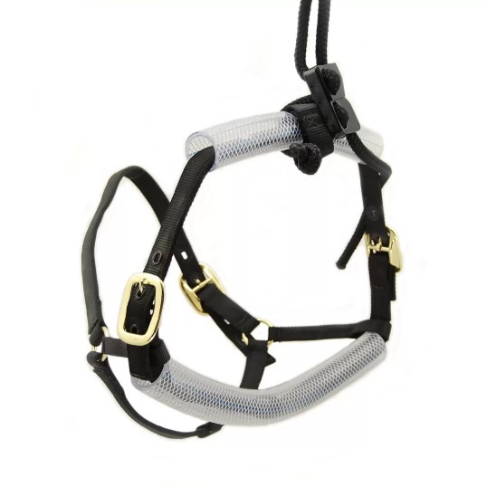 [PF17814] PowerFloat Dental Halter-Horse
