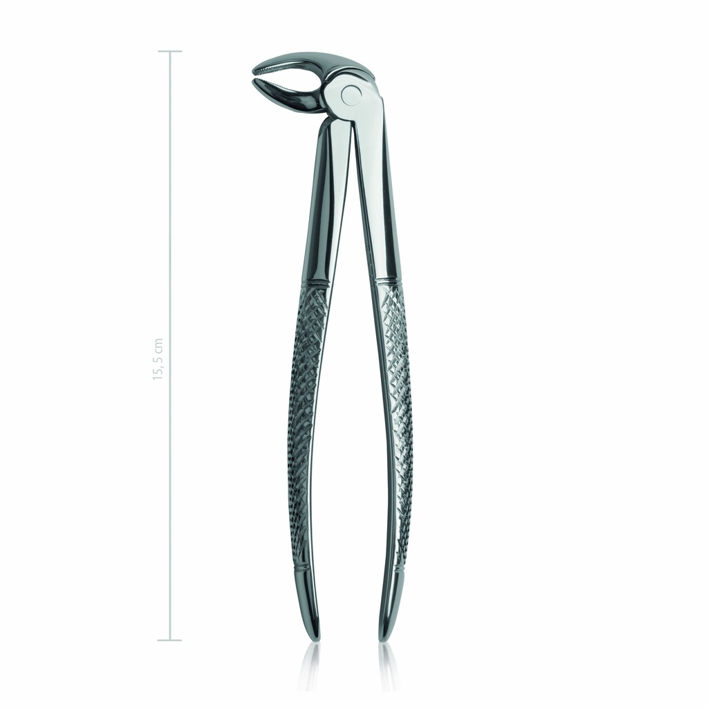 Tooth forceps english pattern fig. 13, 1" 5cm