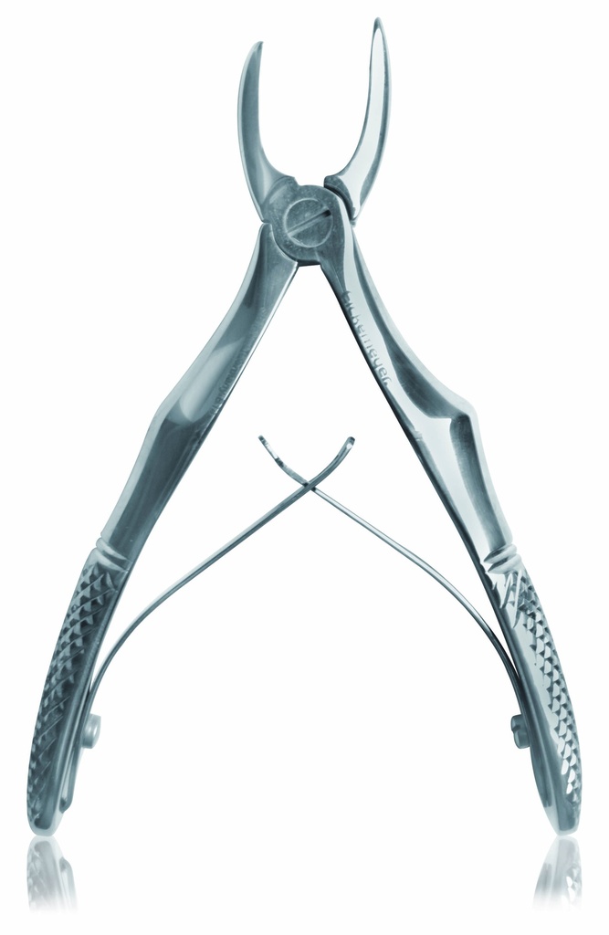 [176112] Tooth forceps Dietrich, 12 cm, 4 3/4"