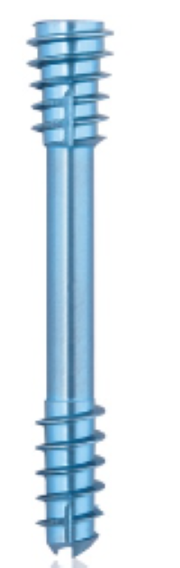 [191438] Titanium Compression Screw-CBS-, Diam. 5.5 x L 40 mm