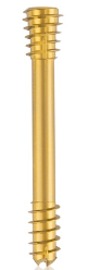 Titanium Compression Screw-CBS-, Diam. 6.5 x L 36 mm