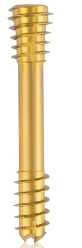 Titanium Compression Screw-CBS-, Diam. 6.5 x L 45 mm