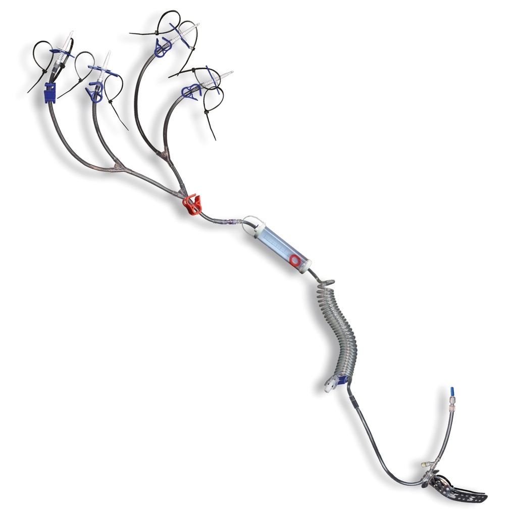 [HB06624A] Millpledge Aniset L/A 4 Spike (pk 1)