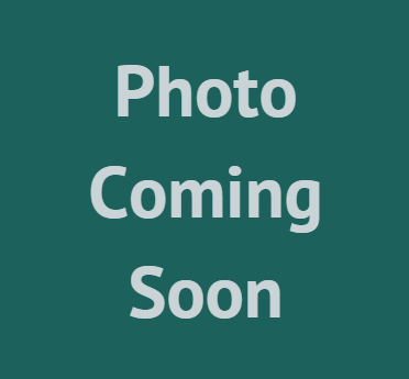 [MP06224A] Millpledge Anicath Cannula 24g x 0.75'' (pk 10)