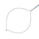 Endoscopy Polypectomy Snare (Length: 4000mm, Diam.: 2.8mm)