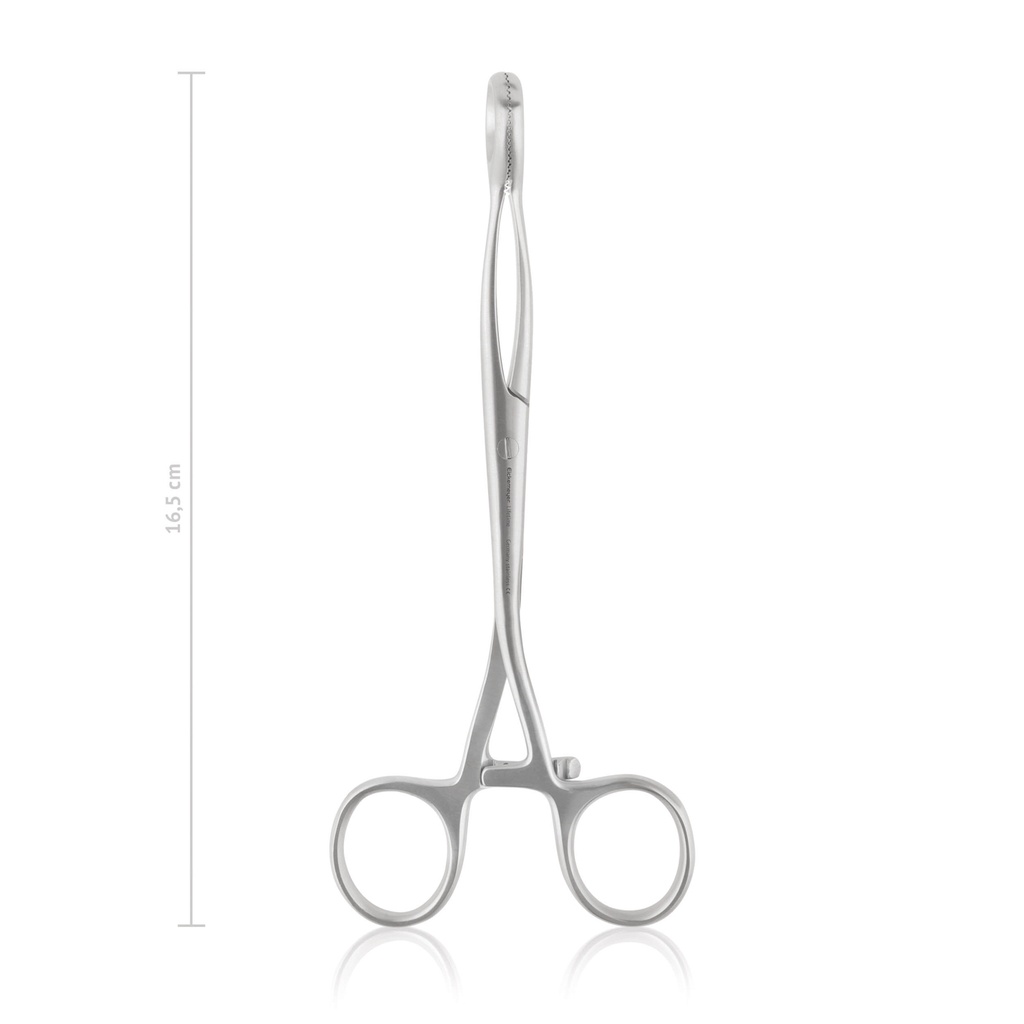 [146216] Tongue Forceps Collin