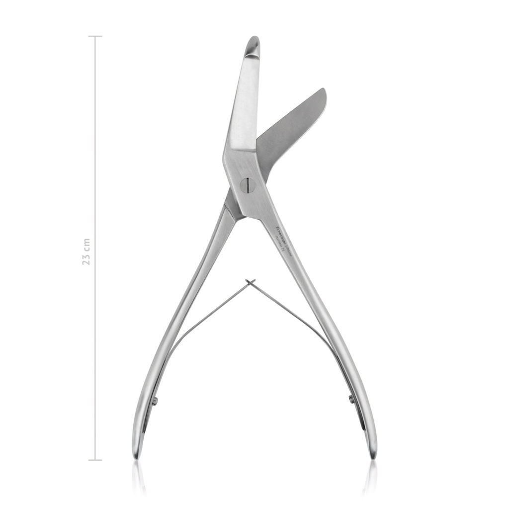 Plaster Shear Seutin