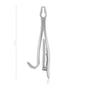 Bone Holding Forceps Kern (Length: 170mm)