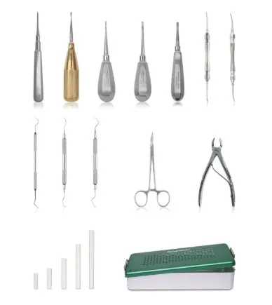 [177371] Canine and Feline Dental Instrument Kit