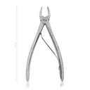 Dental Extraction Forceps (Length: 110mm, Form: Straight)