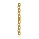 EickLoxx Large Bone Plate - 10 holes (L:110mm) Gold