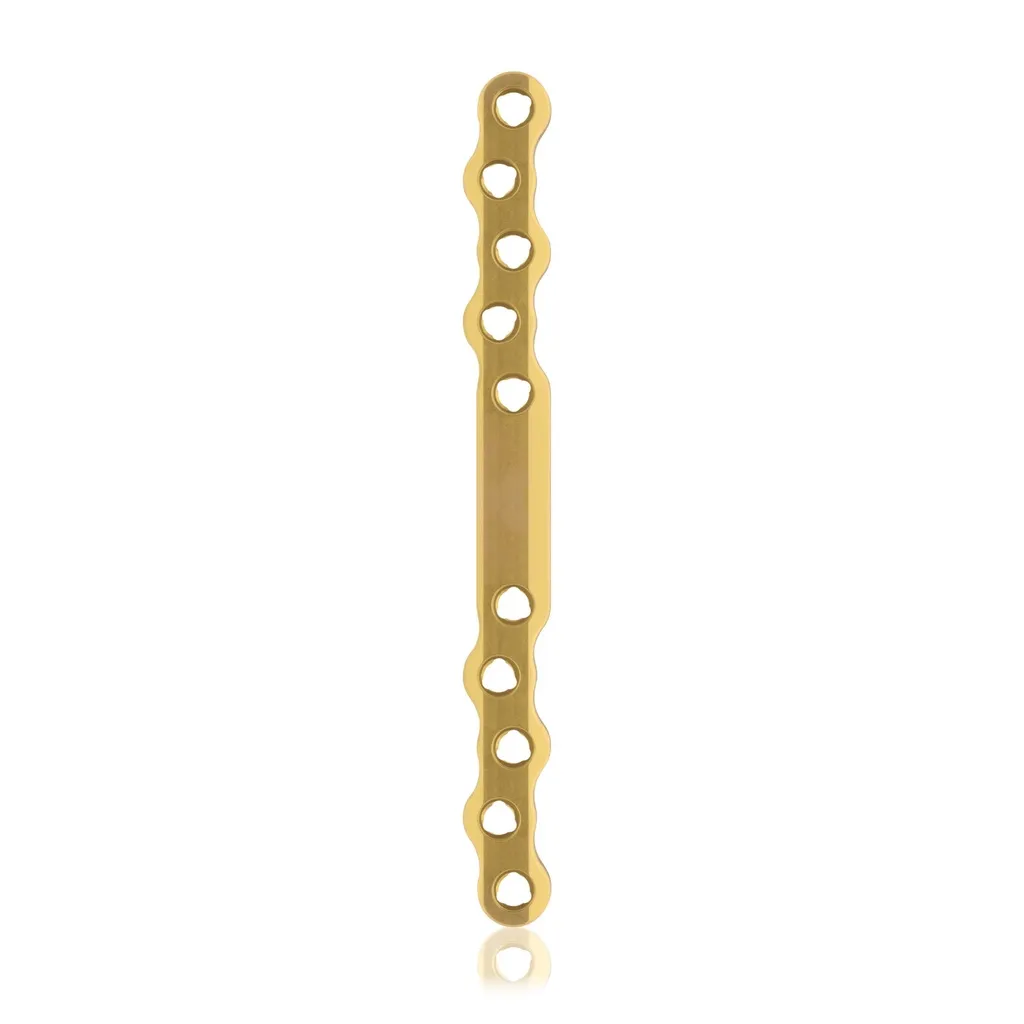 EickLoxx Large Bone Plate - 10 hole long (L:120mm) Gold