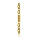 EickLoxx Large Bone Plate - 10 hole long (L:120mm) Gold