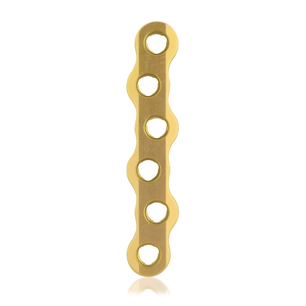 EickLoxx Large Bone Plate - 6 hole (L:60mm) Gold