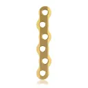 EickLoxx Large Bone Plate - 6 hole (L:60mm) Gold
