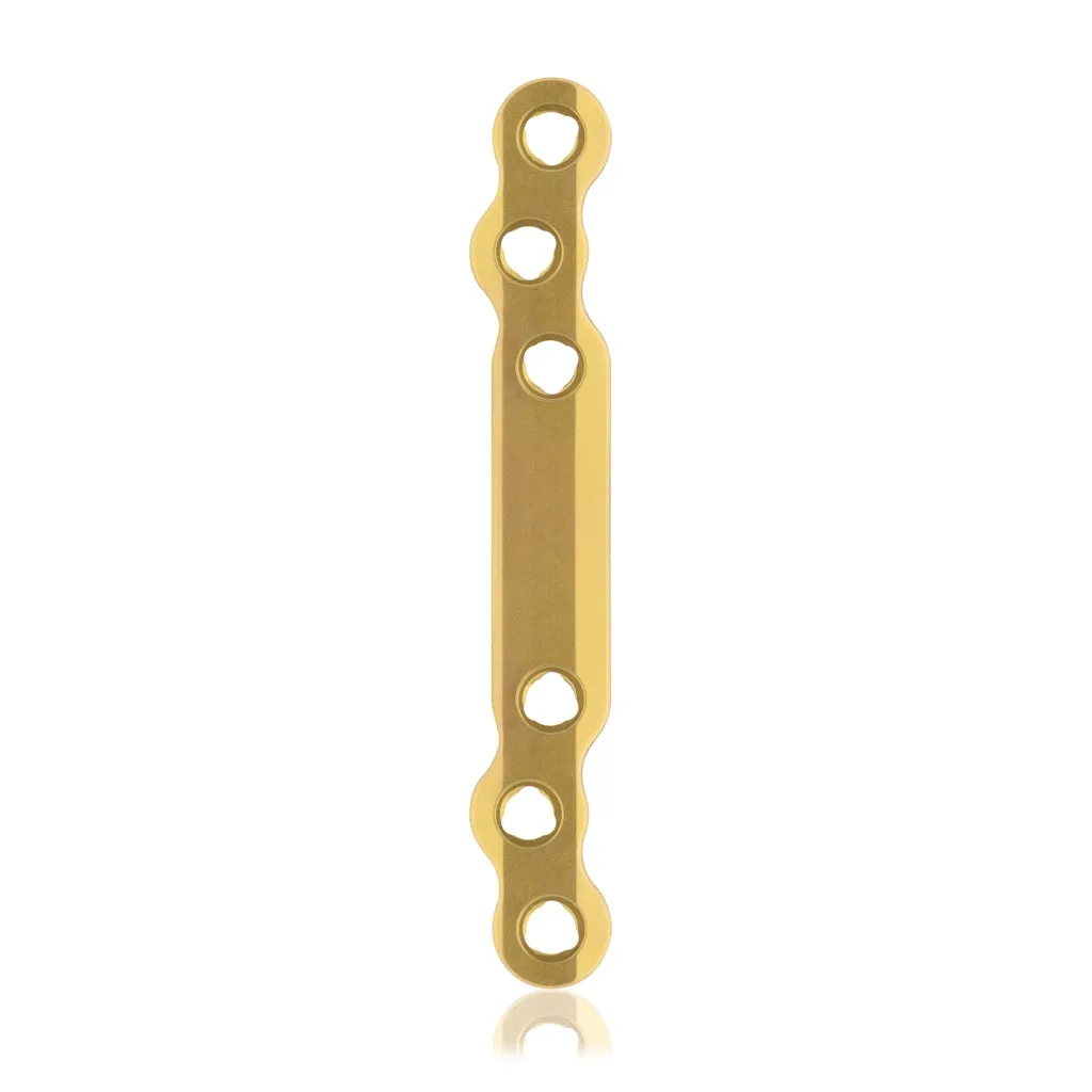 EickLoxx Large Bone Plate - 6 hole long (L:80mm) Gold