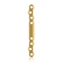 EickLoxx Large Bone Plate - 8 hole long(L:100mm) Gold