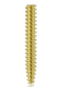 Zlig Interference Screw 4.5 x 30mm(Gold)