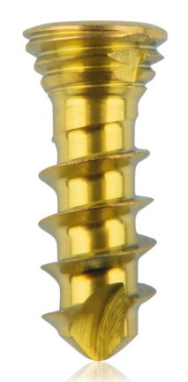 [185560] Titanium locking screw 2.3 x 7mm Gold