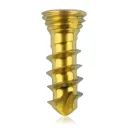 Titanium locking screw 2.3 x 7mm Gold