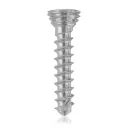 Titanium locking screw 1.7 x 10mm Silver