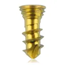Titanium locking screw 2.3 x 6mm Gold