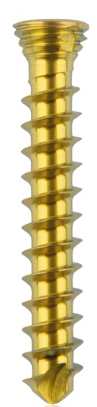[185532] Titanium locking screw 2.3 x16mm Gold