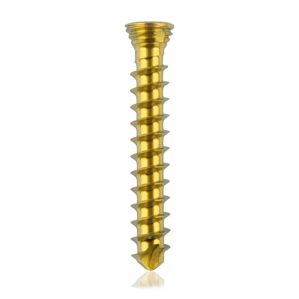 [185532] Titanium locking screw 2.3 x16mm Gold