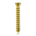 Titanium locking screw 2.3 x16mm Gold