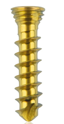 [185529] Titanium locking screw 2.3 x10mm Gold