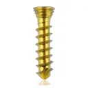 Titanium locking screw 2.3 x10mm Gold