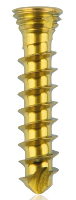 [185530] Titanium locking screw 2.3 x12mm Gold