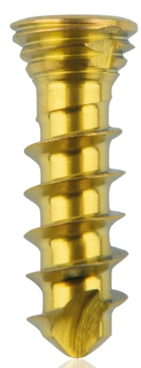 [185528] Titanium locking screw 2.3 x 8mm Gold