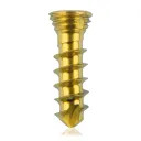 Titanium locking screw 2.3 x 8mm Gold