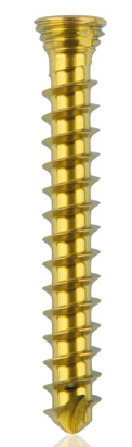 [185533] Titanium locking screw 2.3 x18mm Gold