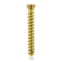 Titanium locking screw 2.3 x18mm Gold