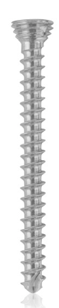 [185527] Titanium locking screw 1.7 x 20mm Silver