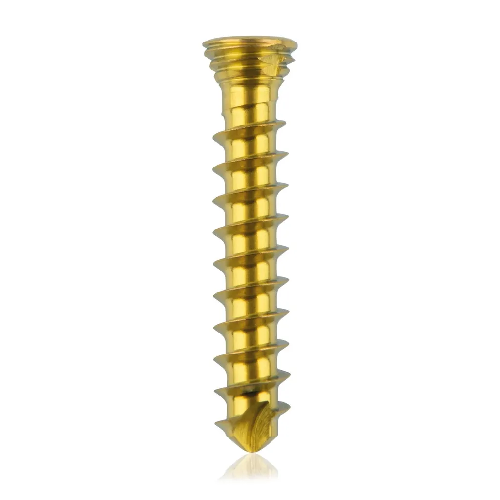 [185531] Titanium locking screw 2.3 x14mm Gold