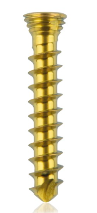 [185531] Titanium locking screw 2.3 x14mm Gold
