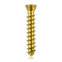 Titanium locking screw 2.3 x14mm Gold