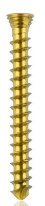 [185534] Titanium locking screw 2.3 x20mm Gold